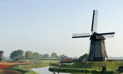 Tulip Cruise / פריחת הצבעוני, הולנד ובלגיה